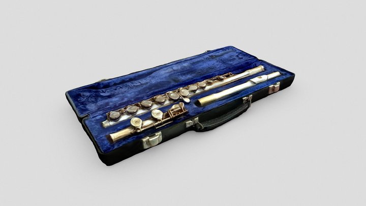 Flute in a Case 3D Model