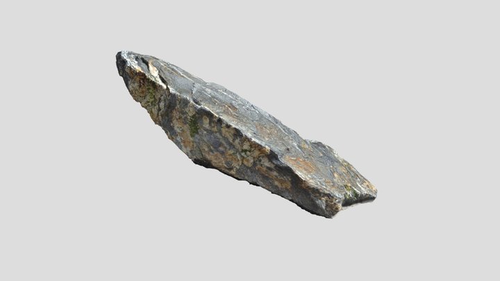 Otago Geology - Mounted rock in Quadrangle - 3 3D Model