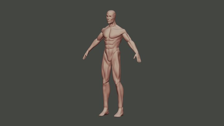 free sculped base mesh 3D Model