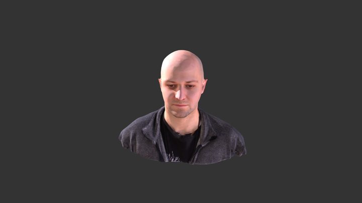 Seb Bust 3D Model