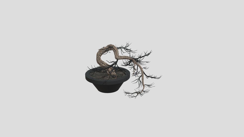 Bonsai