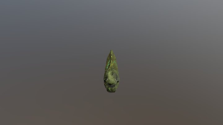 Moray_Eel_Custom 3D Model