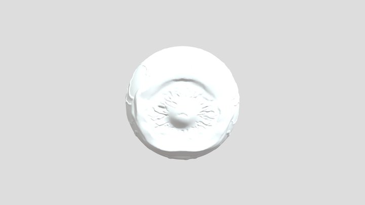 Eyeball 3D Model