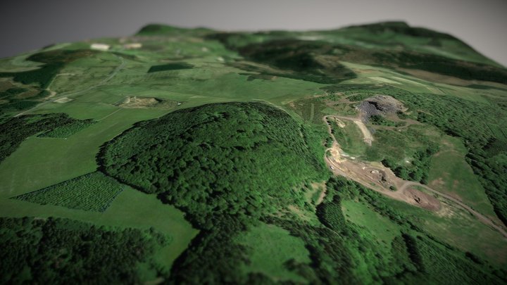 Nerother Kopf 3D Model