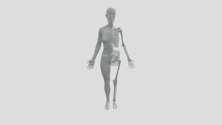 肉骨体 3D Model