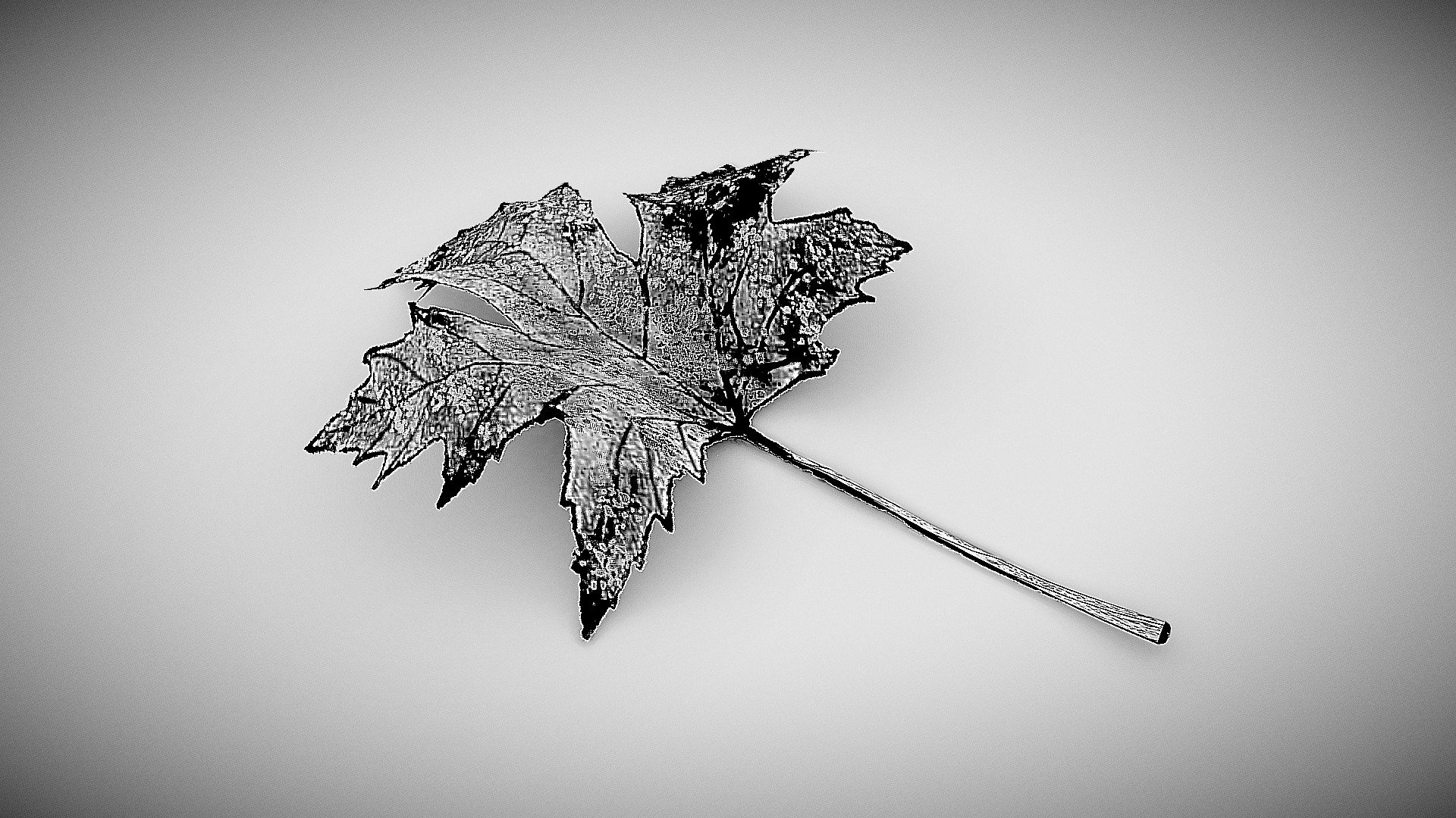 Dry Maple Leaf - Day 8 #3DInktober2019-Frail