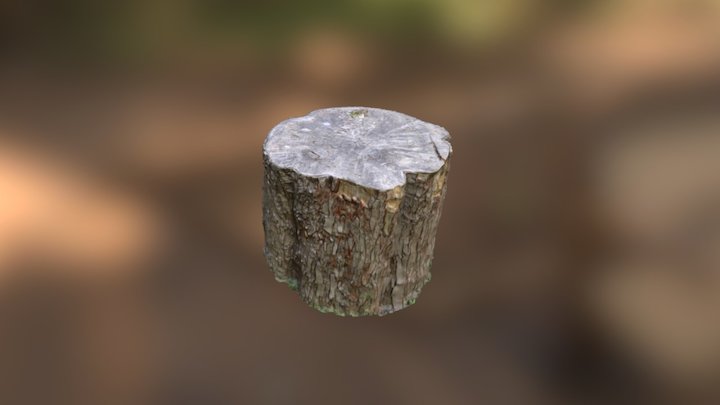 tree trunk 3D Model