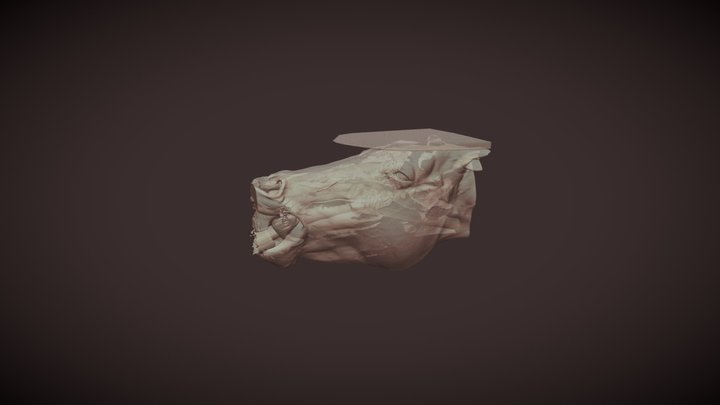 horse head 3D Model