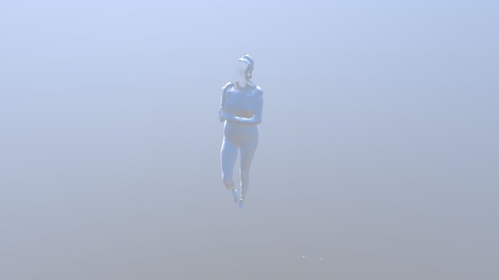 Scanning body molded in Meshmixer 3D Model
