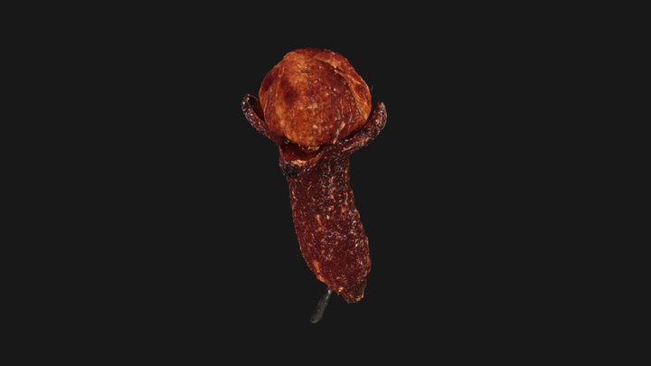 Clove head - Macro 3D Scan – Modello 3D gratuito STL