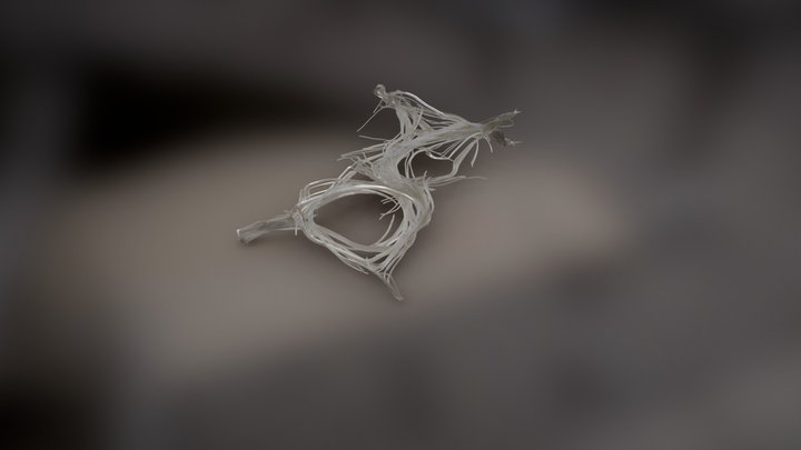Stigmergic Model 001 3D Model