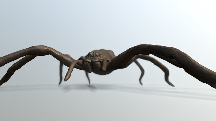 Giant Huntsman Spider – Modelo 3D gratuito STL