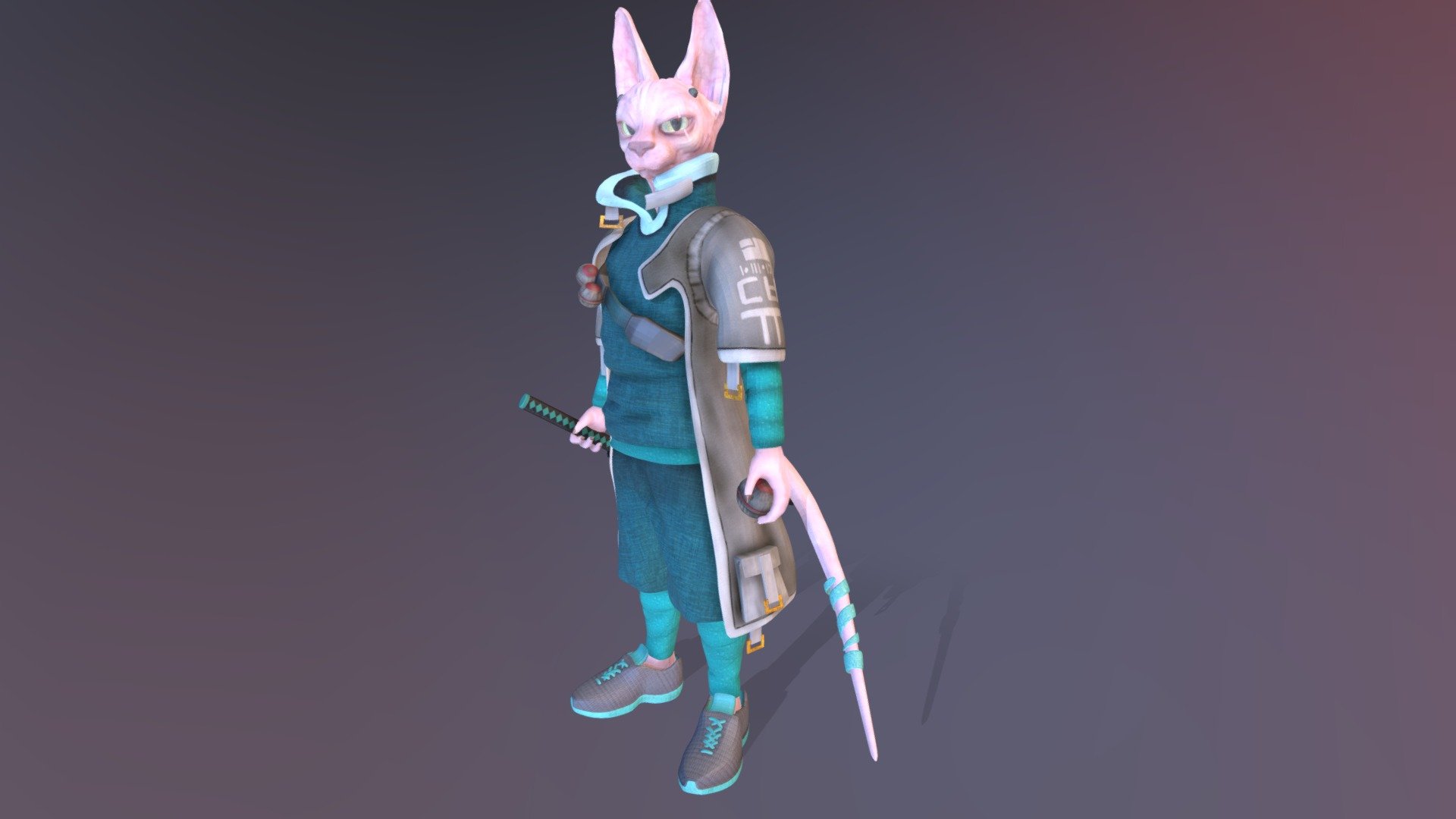 Model