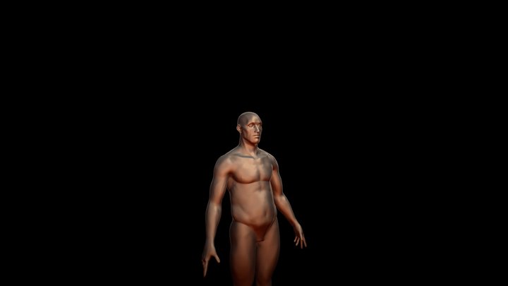 Body 1. 3D Model