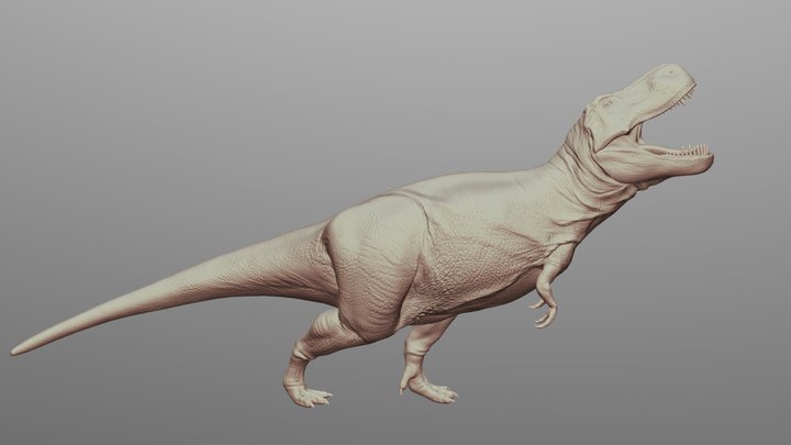 T_Rex_pose 3D Model