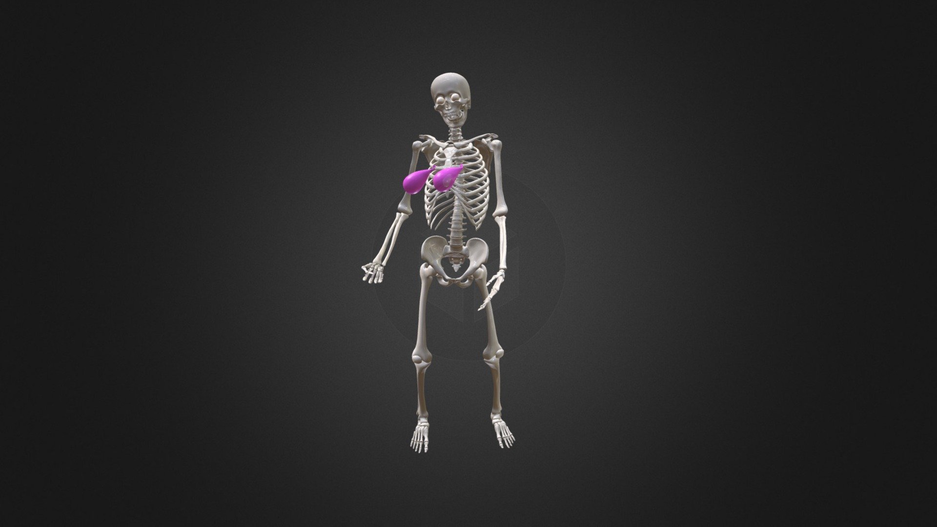 Skelly Balloons
