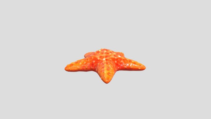 Starfish 3D Model