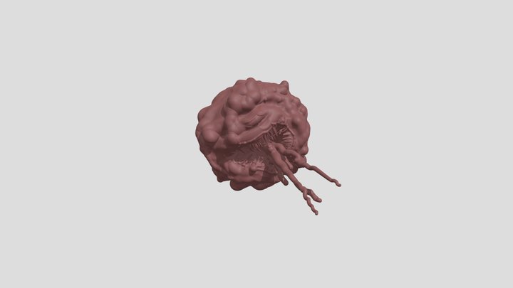model 3D Model