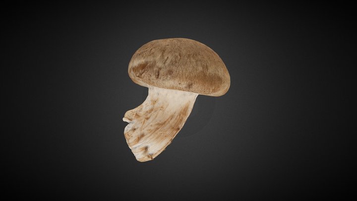 Mushuroom (perhaps) 3D Model