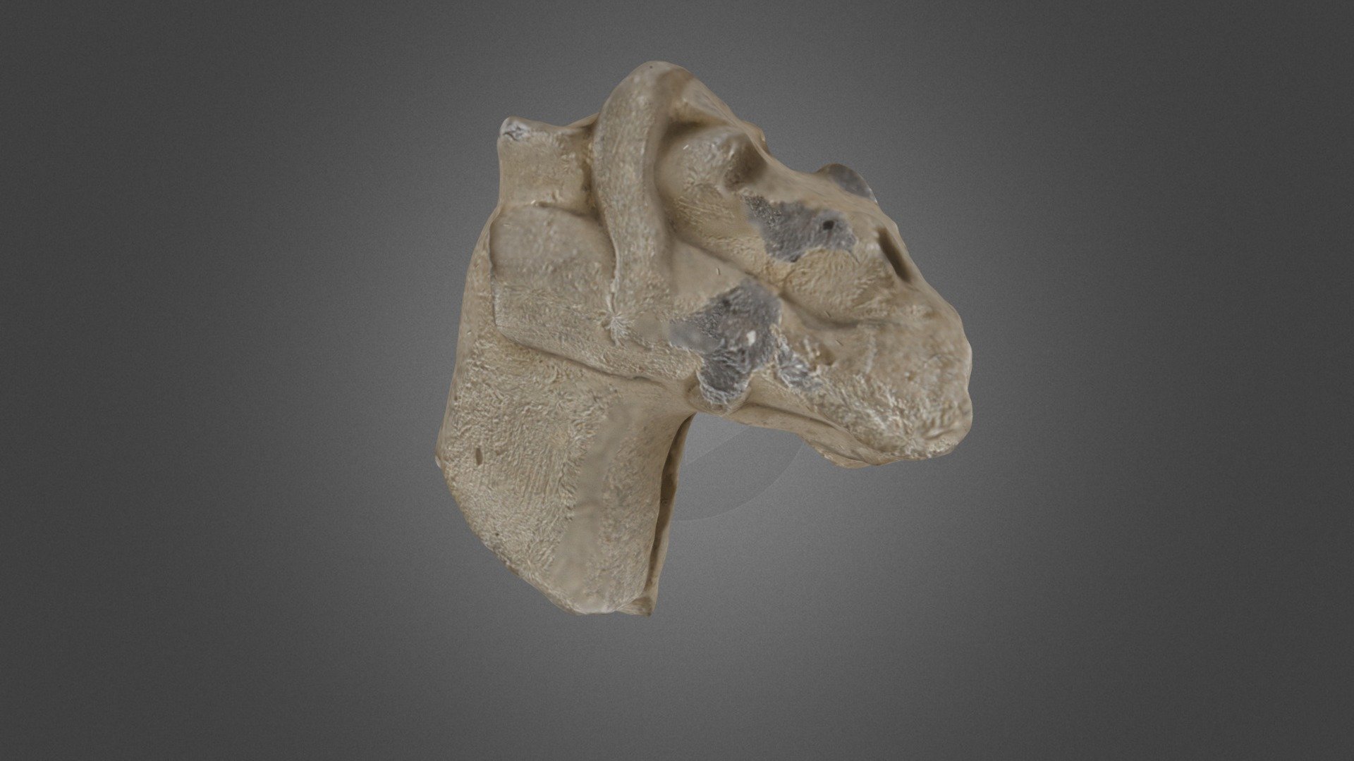 Fragment of horse, figure.