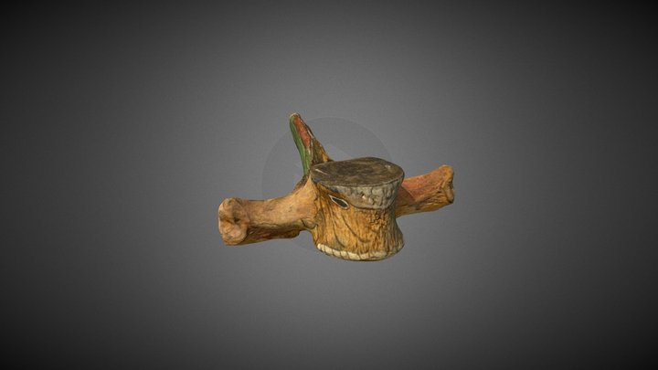 Whale Bone from Cabo Verde 3D Model