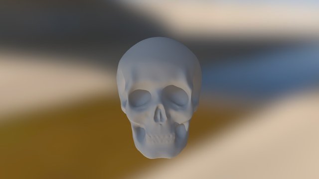 My Sketchfab Mesh 3D Model