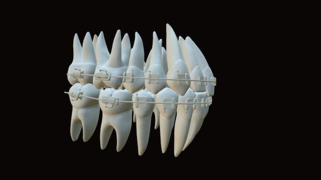 Wire P5 3D Model