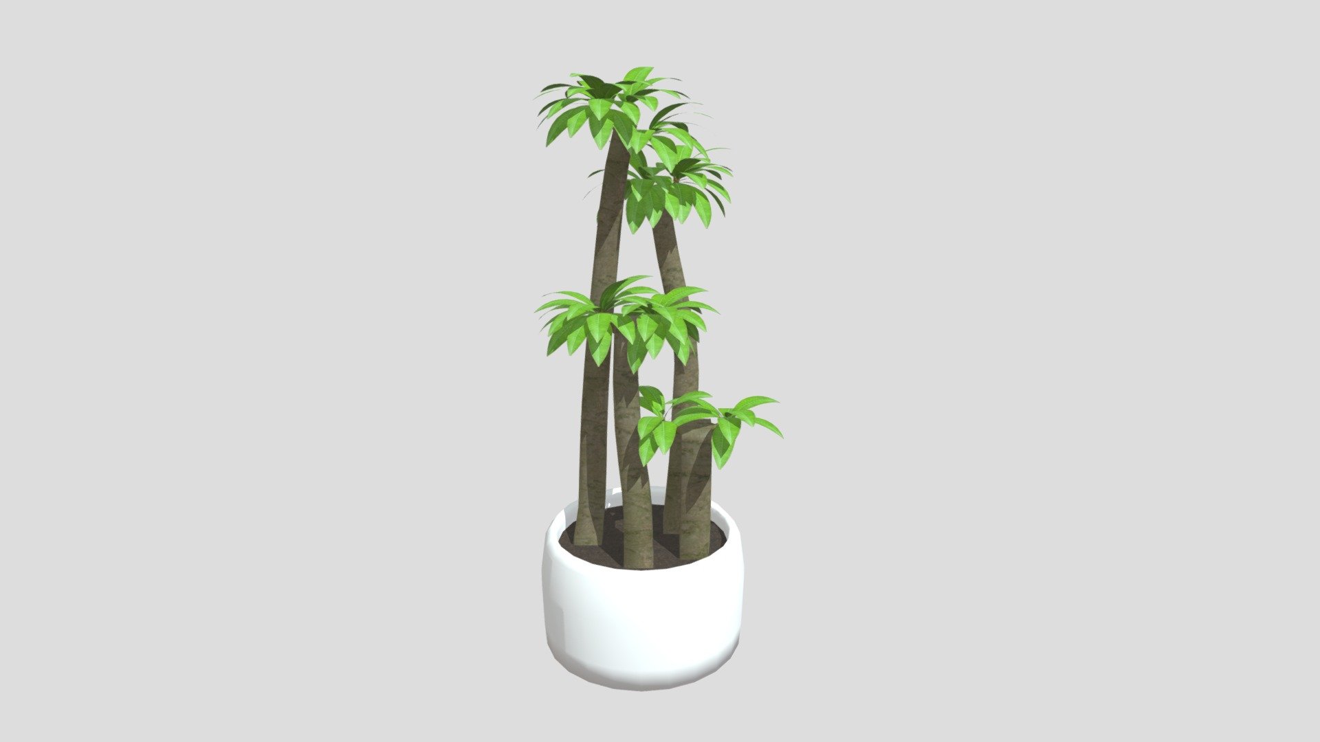 Wk8 Plant Eades