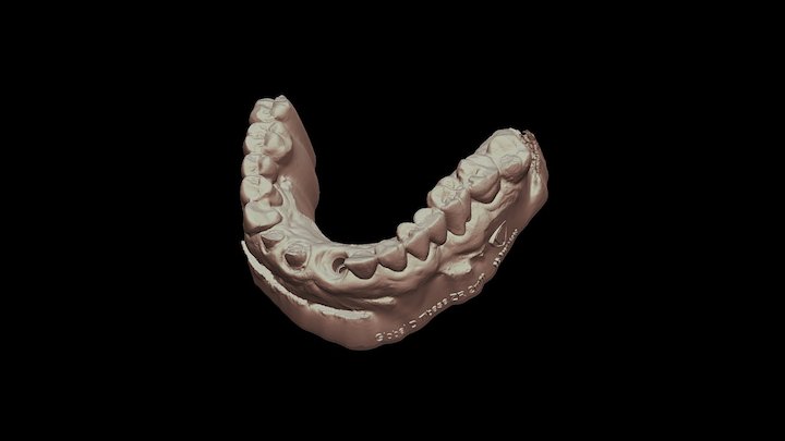 Global D 3D Model