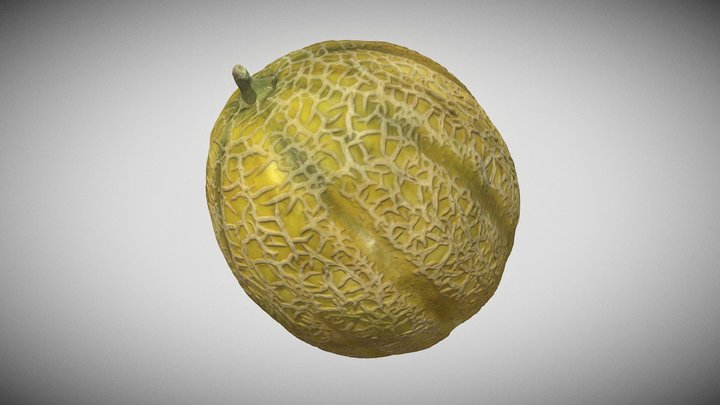 Melone (melon) - 3D Scan 3D Model