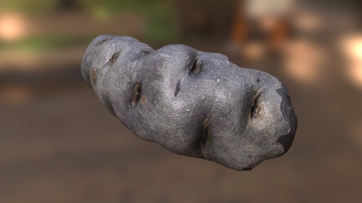 Potato 3D Model