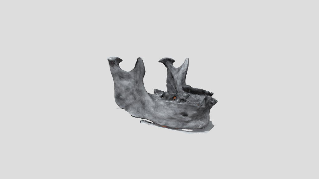 UNC_Scan_40