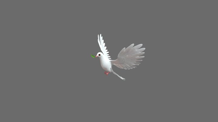 white pigeon 3D Model