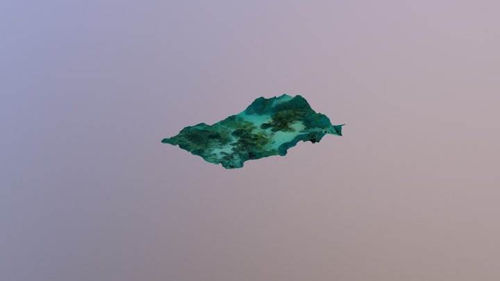 Coral Transect 3 3D Model