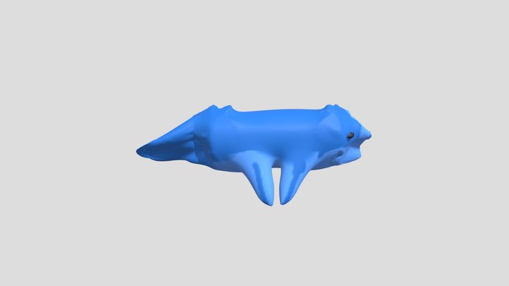 My model 3D Model