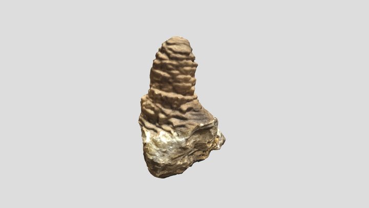 Phillips Paleo Cave Stalagmite 1 3D Model