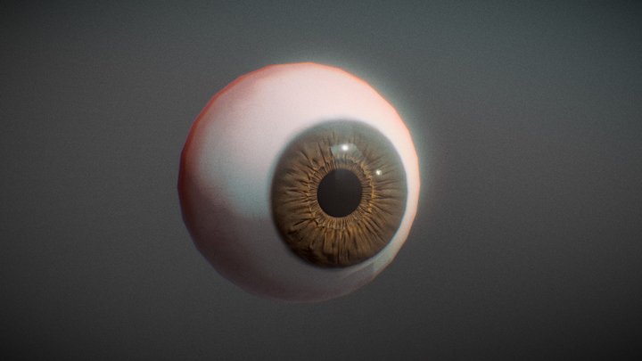 Human Eye 3D Model