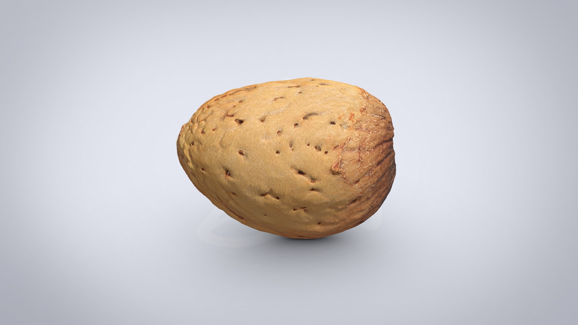 3D model Almond - This is a 3D model of the Almond. The 3D model is about a potato with a white background.