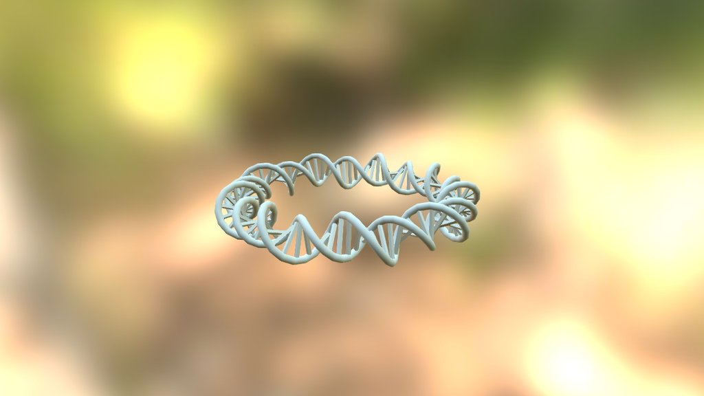 DNA bracelet — Sketchfab embed 3D viewer