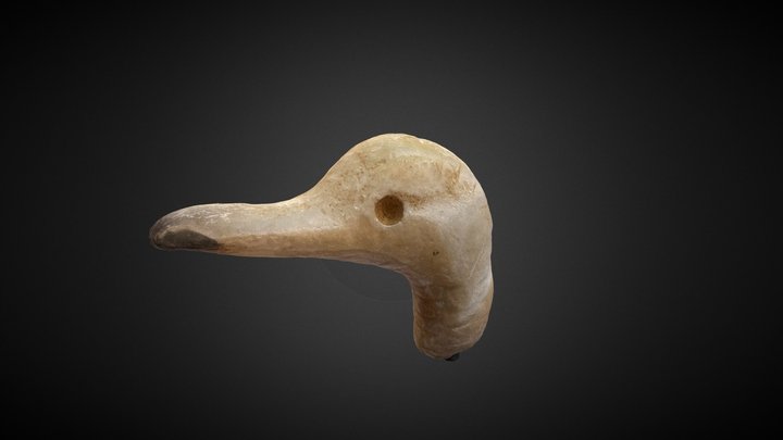 Tête d'oiseau 3D Model