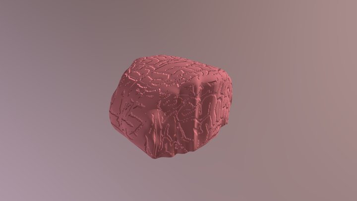 Brain Hat Practice 3D Model
