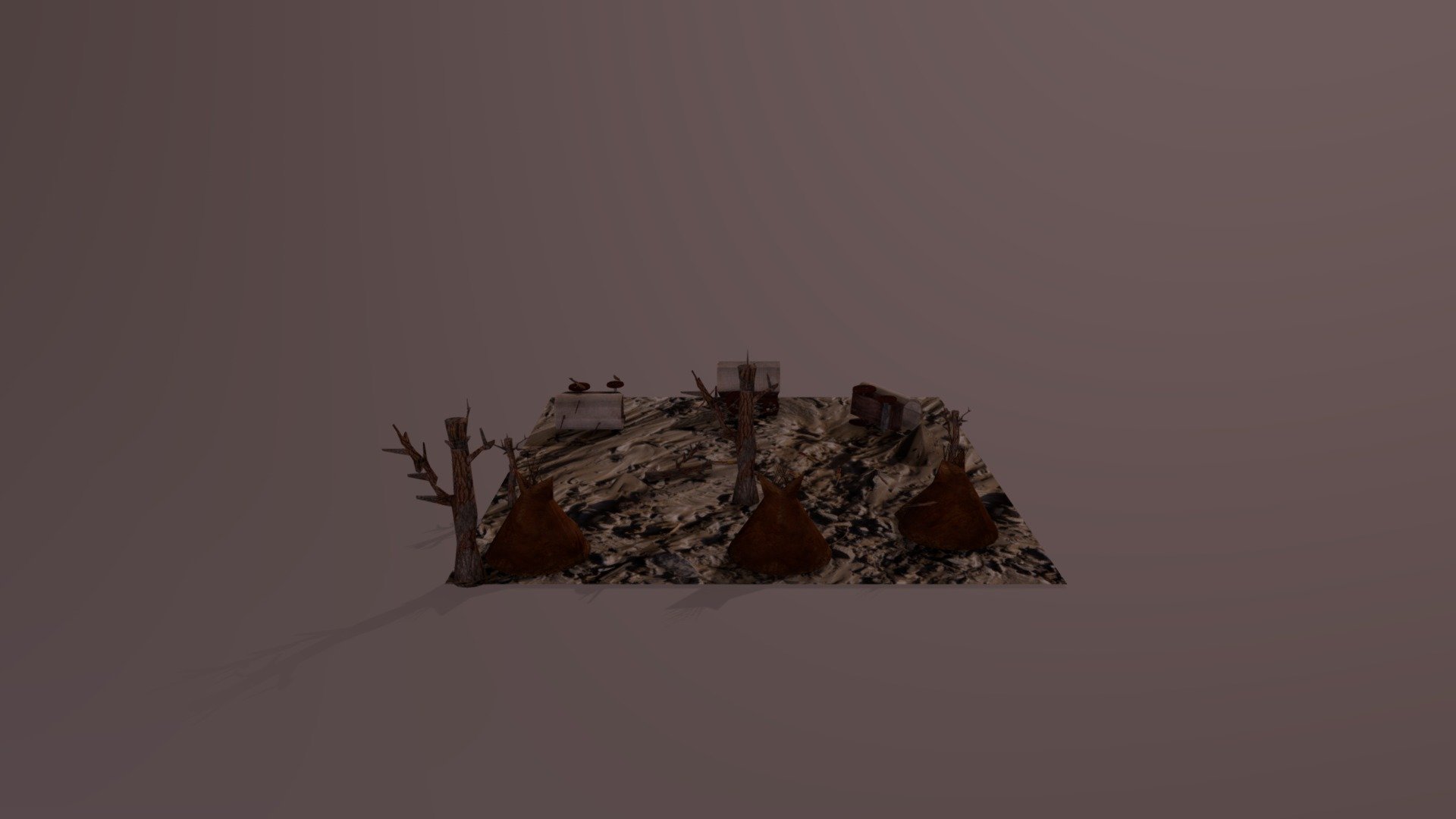 the wild west