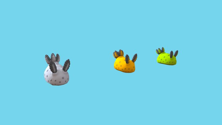Sea Bunnies (Jorunna parva) 3D Model