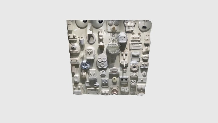 Absolute Siam wall display 3D Model