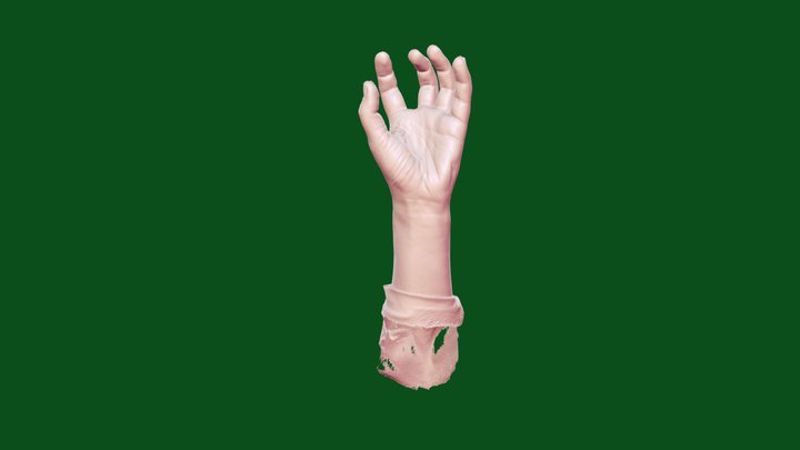 hand in a grasping pose – Modello 3D gratuito STL