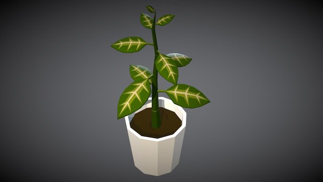 Low Poly Plant 3D Model