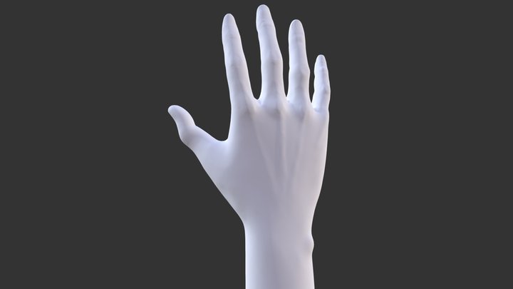hand1 3D Model