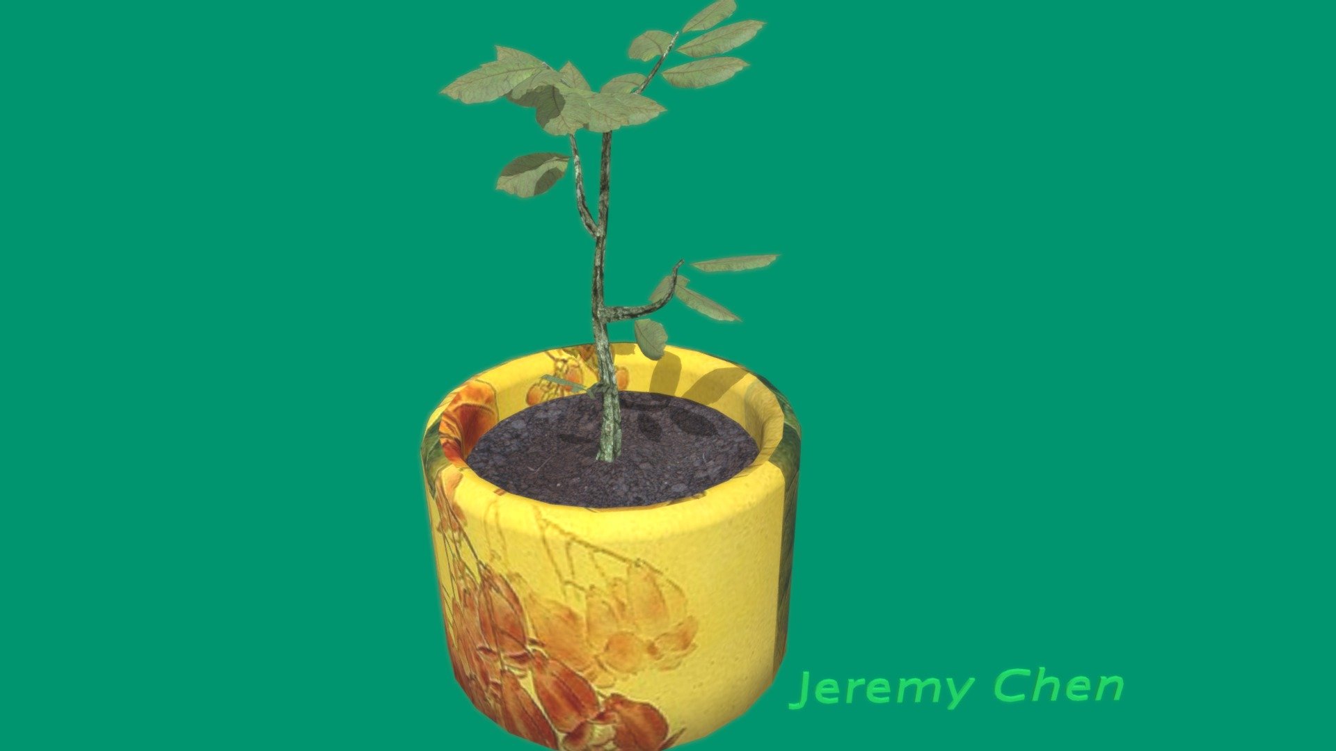 Plant