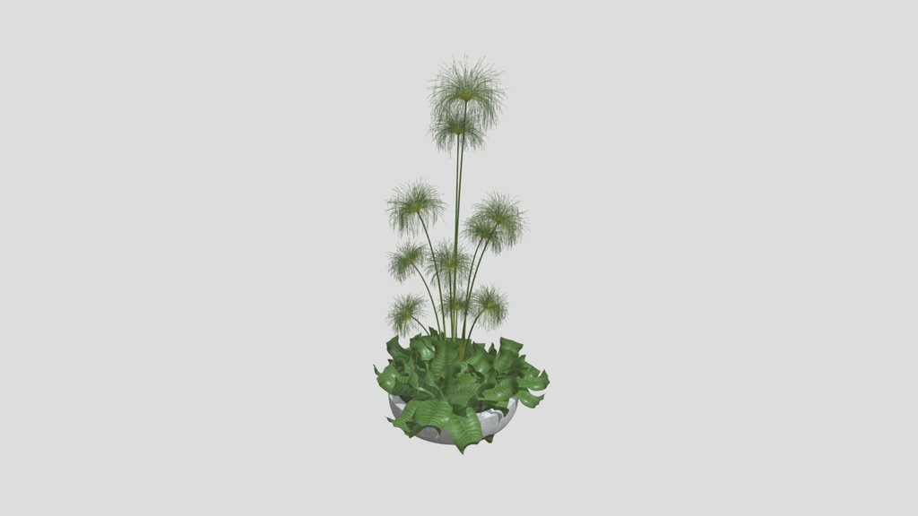 Papyrus Grass Planter