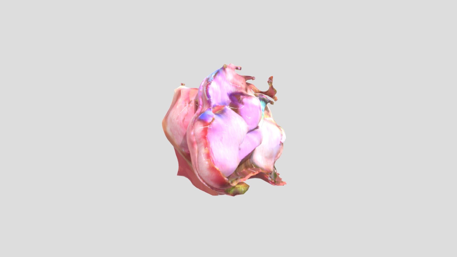2021.08.10